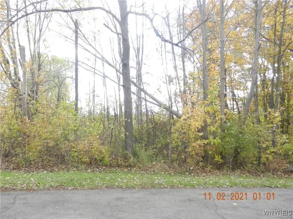 $12,000 | 68 Grove Street, Evans, NY 14006