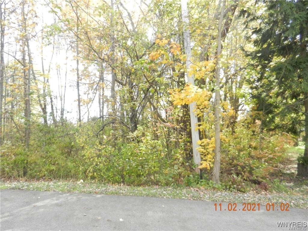 68 Grove Street Evans, NY 14006 - Photo 2 of 8