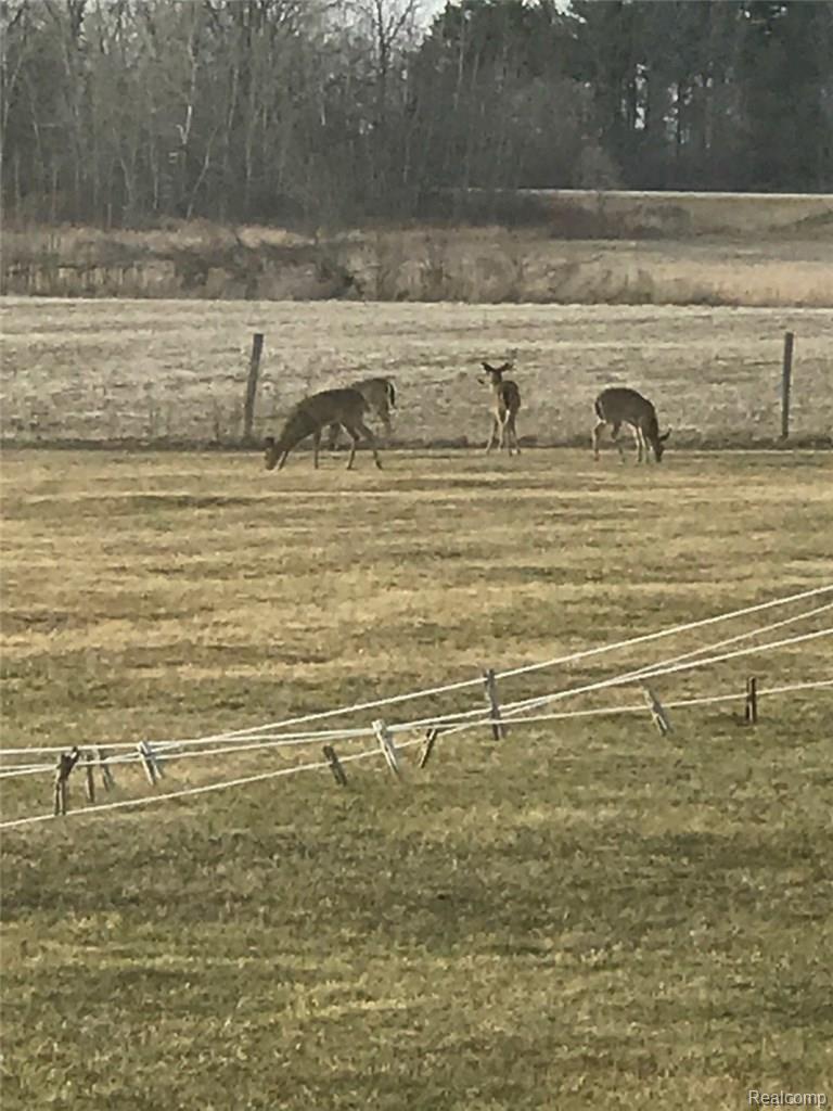 2635 Tozer Road North Branch, MI 48461 - Photo 3 of 23 3.jpg