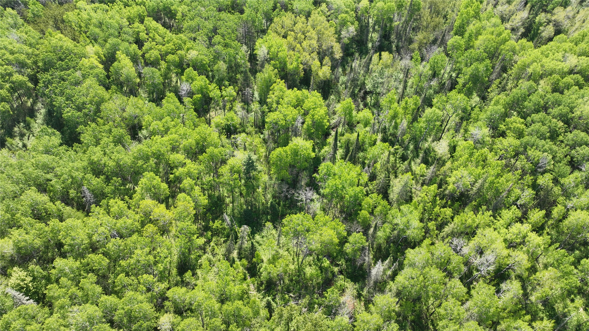 1640 County Road West Superior, WI 54880 - Photo 18 of 49