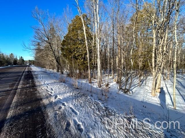Tbd Tbd Canal Road Houghton, MI 49931 - Photo 13 of 19