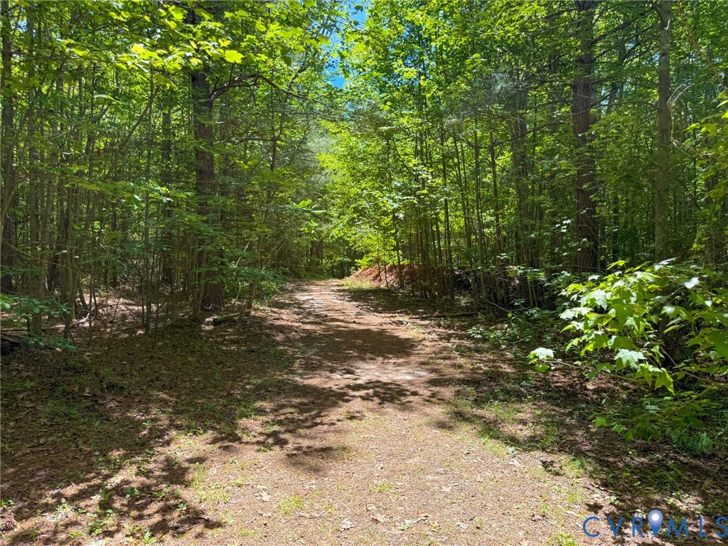 2293 Turkey Island Road Crewe, VA 23930 - Photo 34 of 36