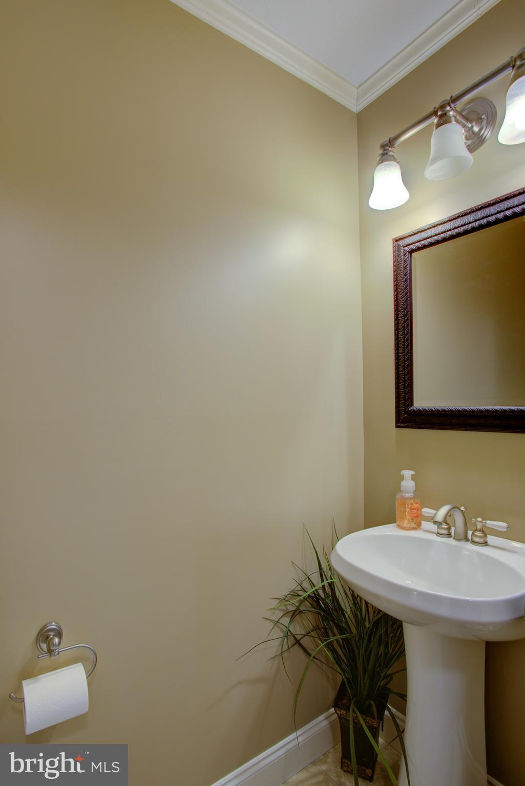 116 Meetinghouse Road Gap, PA 17527 - Photo 47 of 66 a bathroom with a sink and a mirror