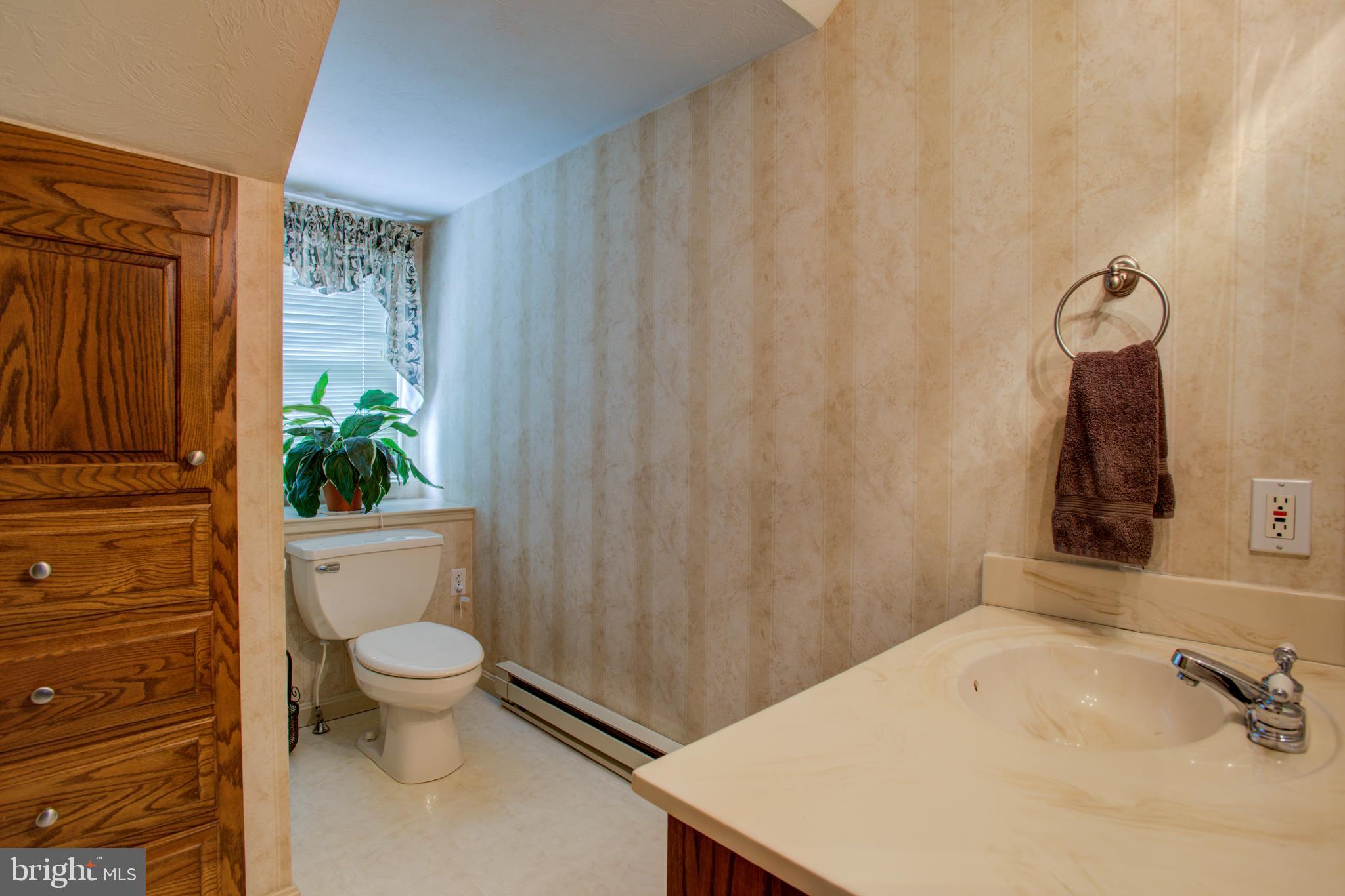 116 Meetinghouse Road Gap, PA 17527 - Photo 61 of 66 a bathroom with a sink a toilet and shower curtain