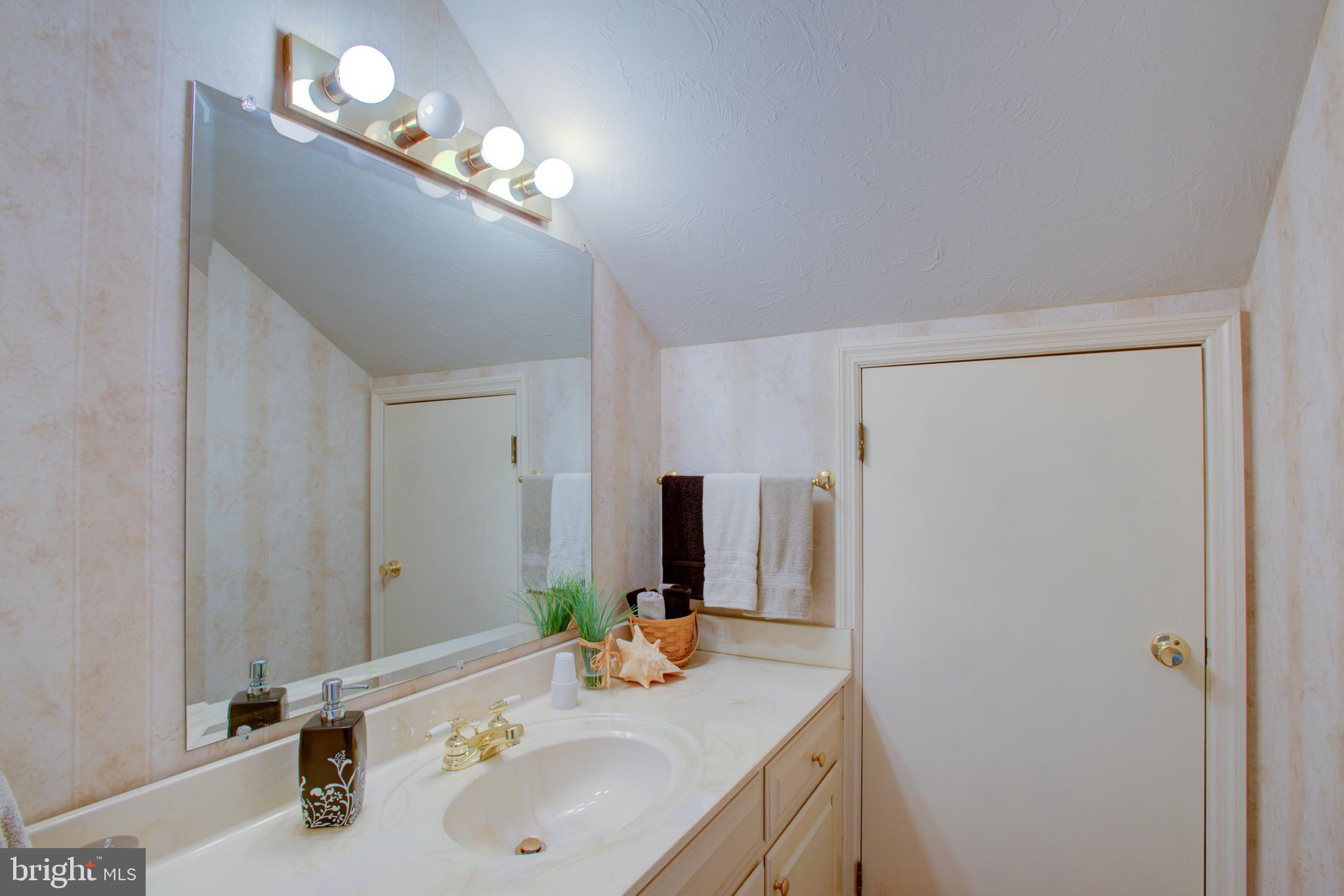 116 Meetinghouse Road Gap, PA 17527 - Photo 63 of 66 a bathroom with a sink and a mirror