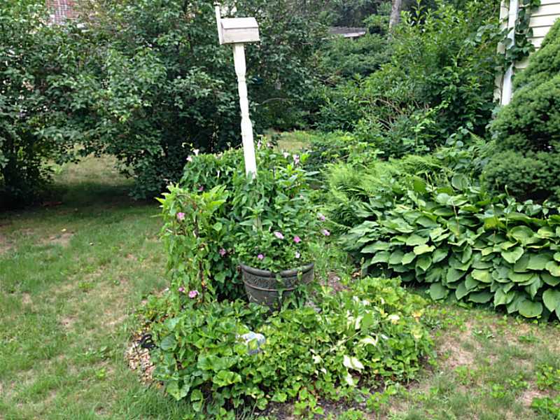 71 Burdickville Road Charlestown, RI 02813 - Photo 16 of 21 Yard/Garden.