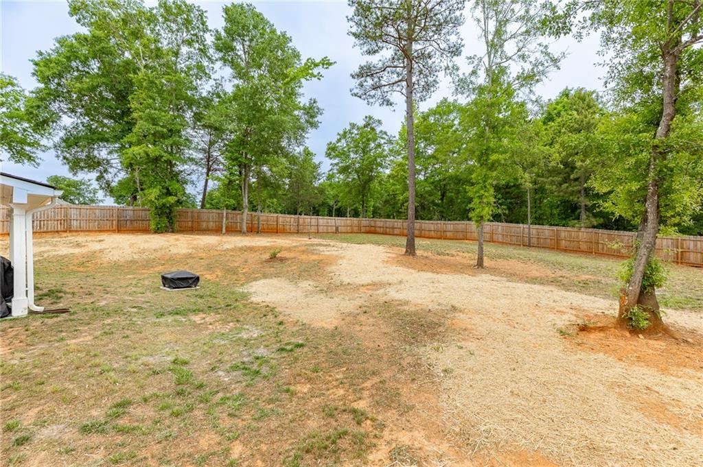 115 Scout Hut Road Danielsville, GA 30633 - Photo 47 of 51