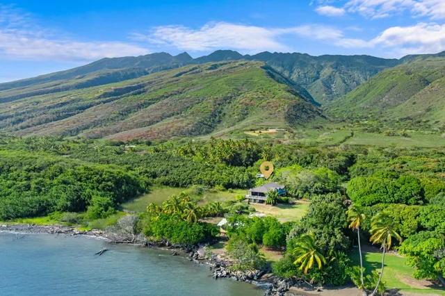 a view of a lush green forest with lots of trees
