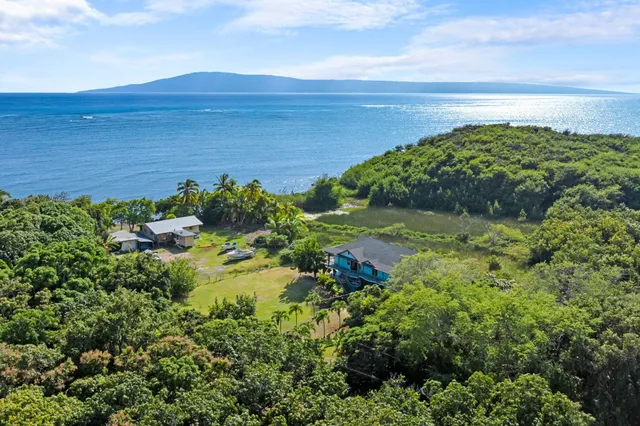 a view of a yard with plants
