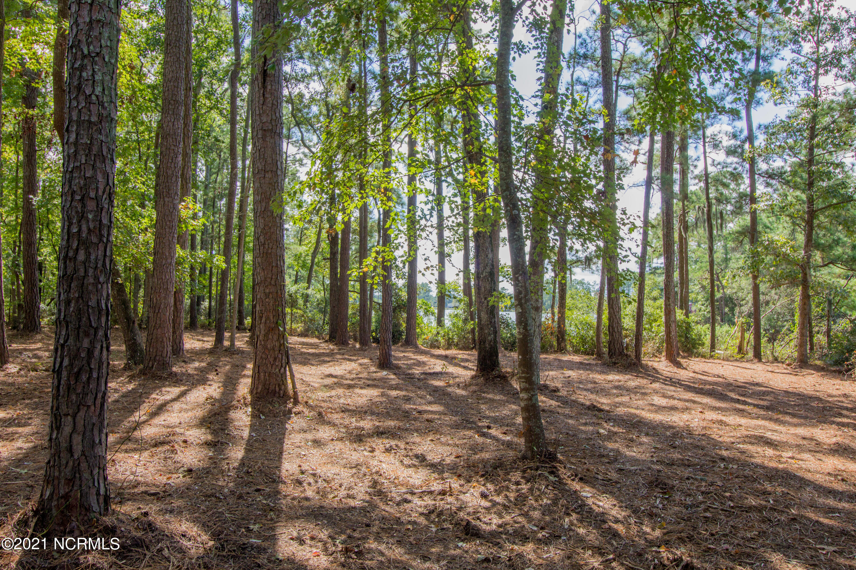 77 Wheat Patch Road Belhaven, NC 27810 - Photo 18 of 26 Building site