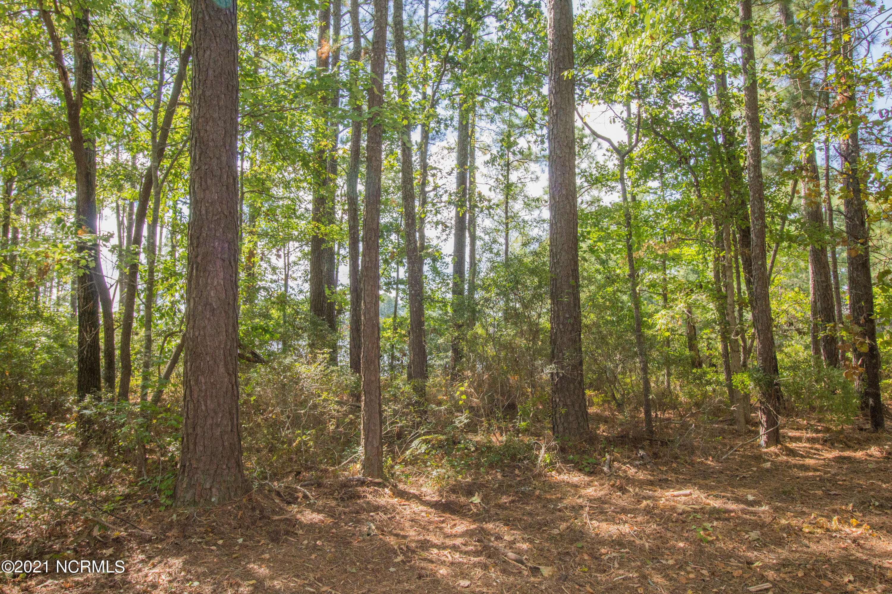 77 Wheat Patch Road Belhaven, NC 27810 - Photo 20 of 26 IMG_3554a