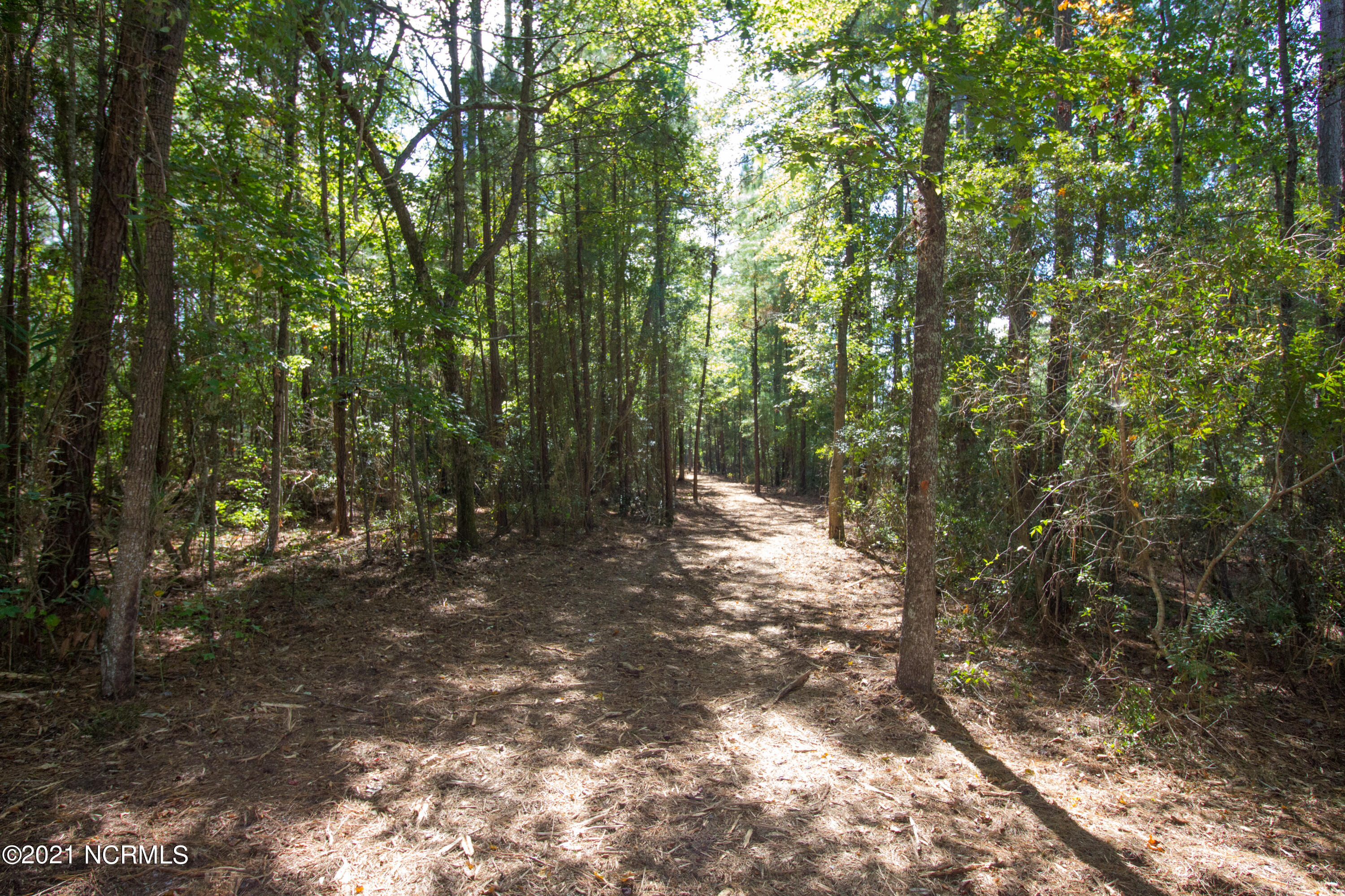 77 Wheat Patch Road Belhaven, NC 27810 - Photo 8 of 26 IMG_3534a