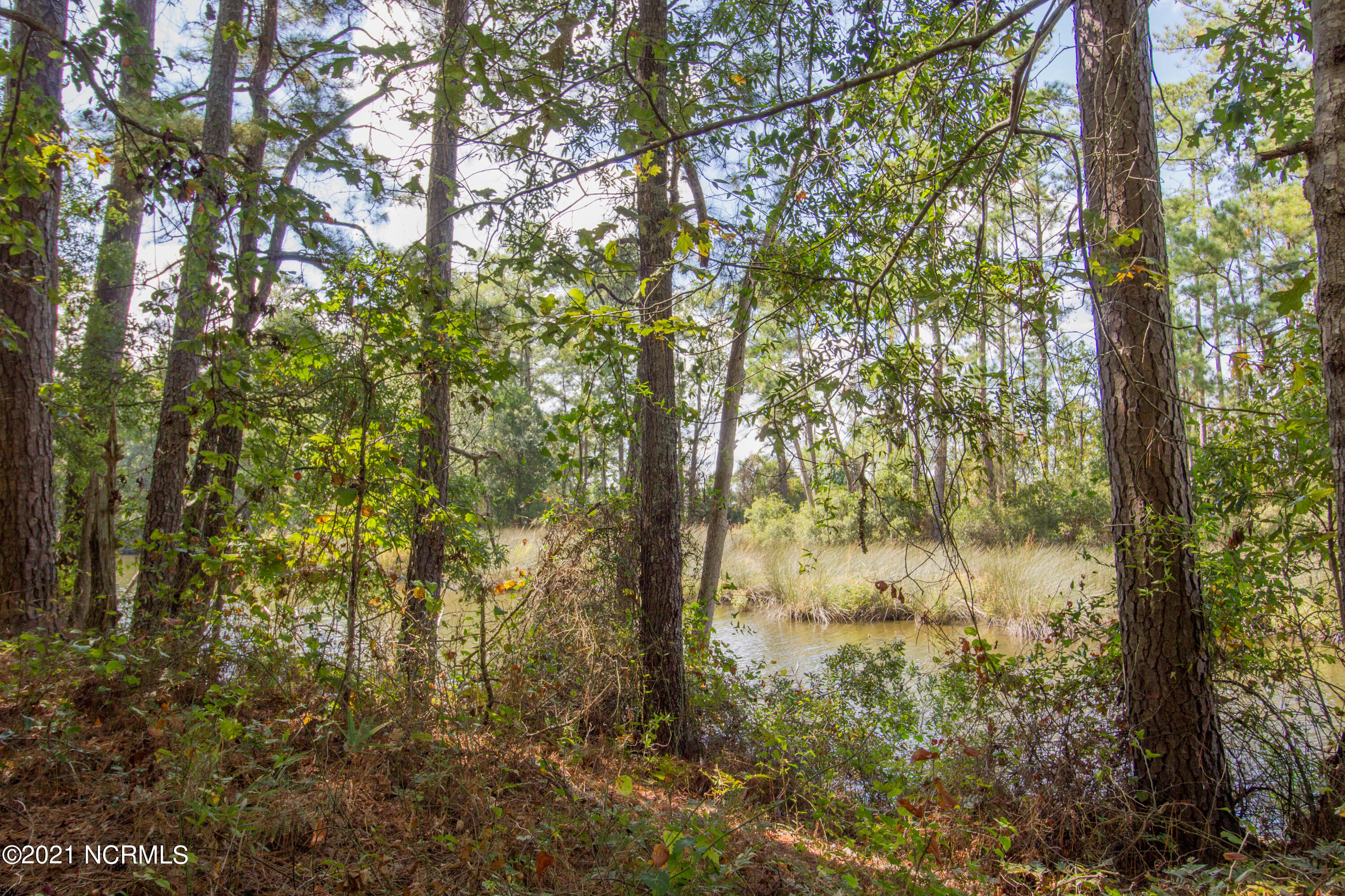 77 Wheat Patch Road Belhaven, NC 27810 - Photo 10 of 26 IMG_3537a