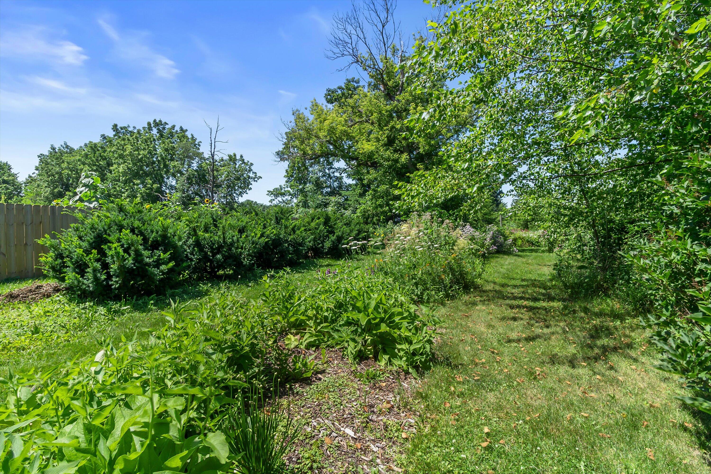 225 Nelson Street Sharon, WI 53585 - Photo 22 of 26 29-E6A3818