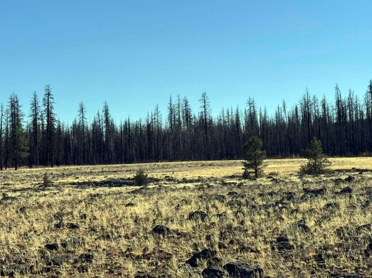 Bull Pine Road, Unit 500 400 300 Beatty, OR 97621 - Photo 21 of 49 IMG_4206