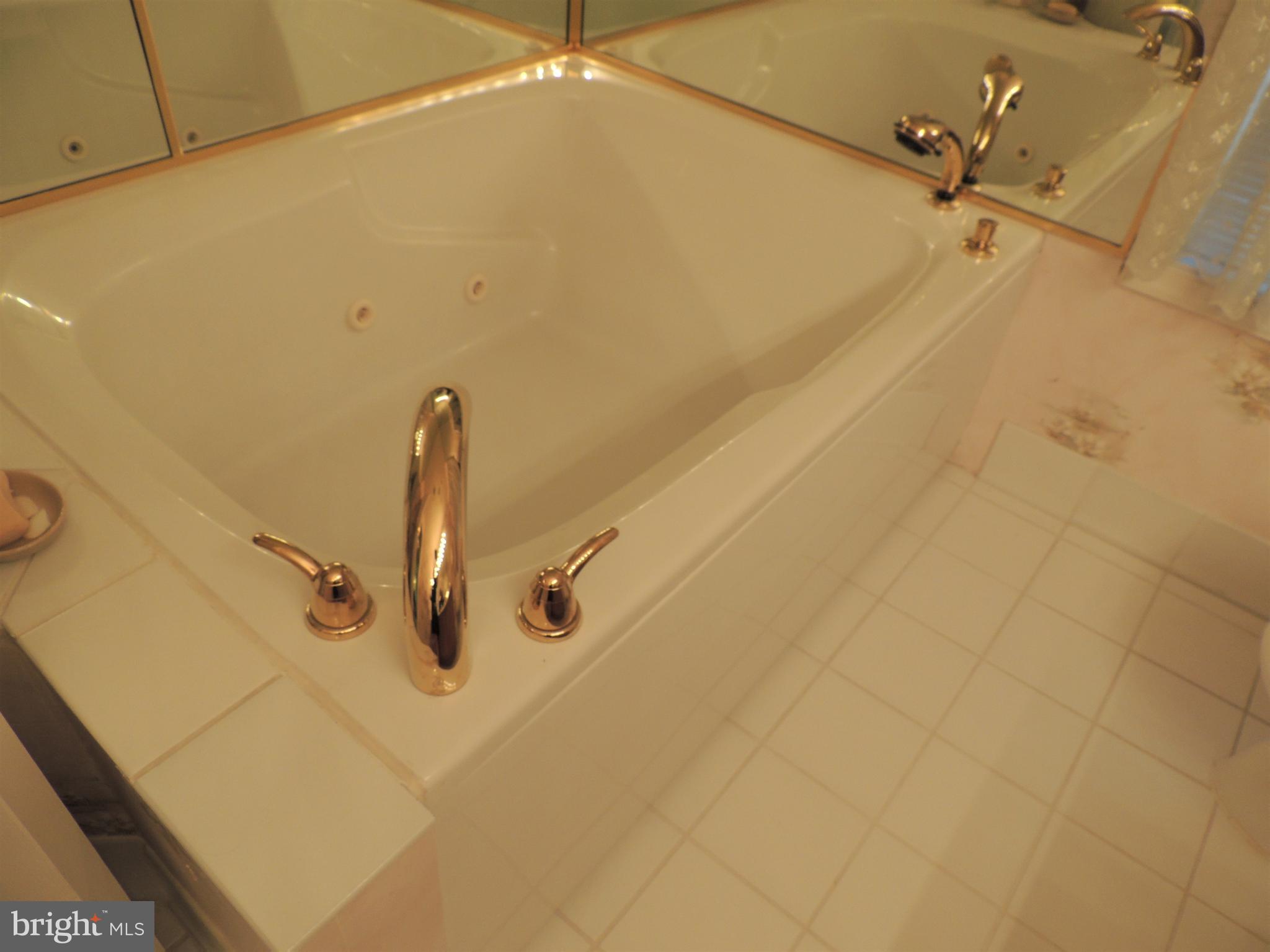 521 Runabout Loop Solomons, MD 20688 - Photo 14 of 33 Soak tub