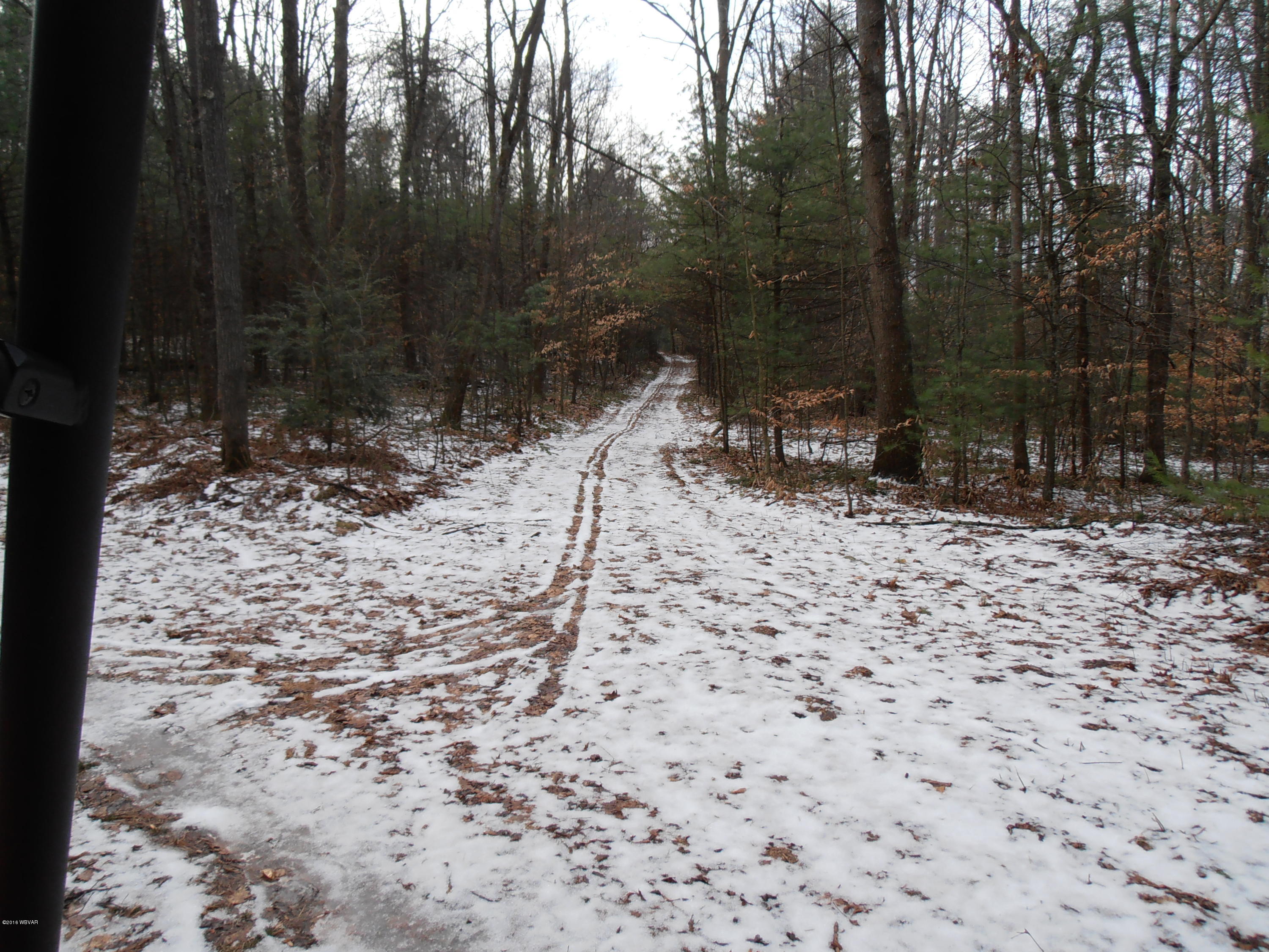 504 Furnace Run Road Jersey Shore, PA 17740 - Photo 34 of 36 PATCH PHOTOS 022