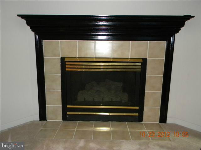 4201 Huntshire Road Randallstown, MD 21133 - Photo 23 of 28 GAS FIREPLACE