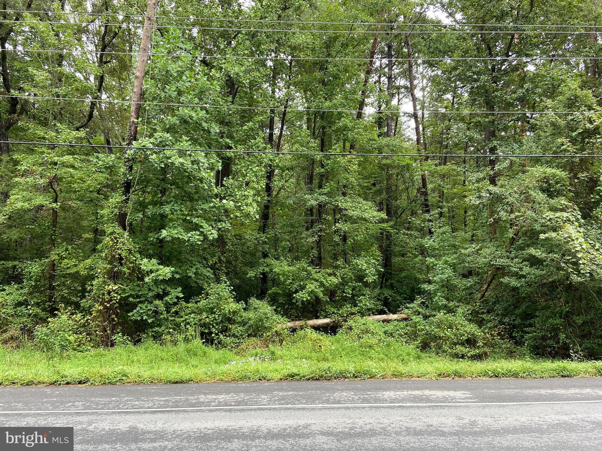Lot 2-parcel Willows Road Lexington Park, MD 20653 - Photo 2 of 3 View from Willows Road