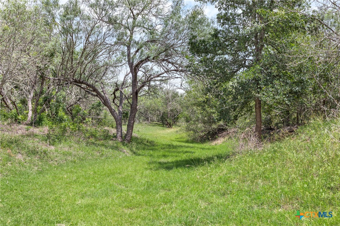 1190 Dickerson Road Lockhart, TX 78644 - Photo 19 of 40