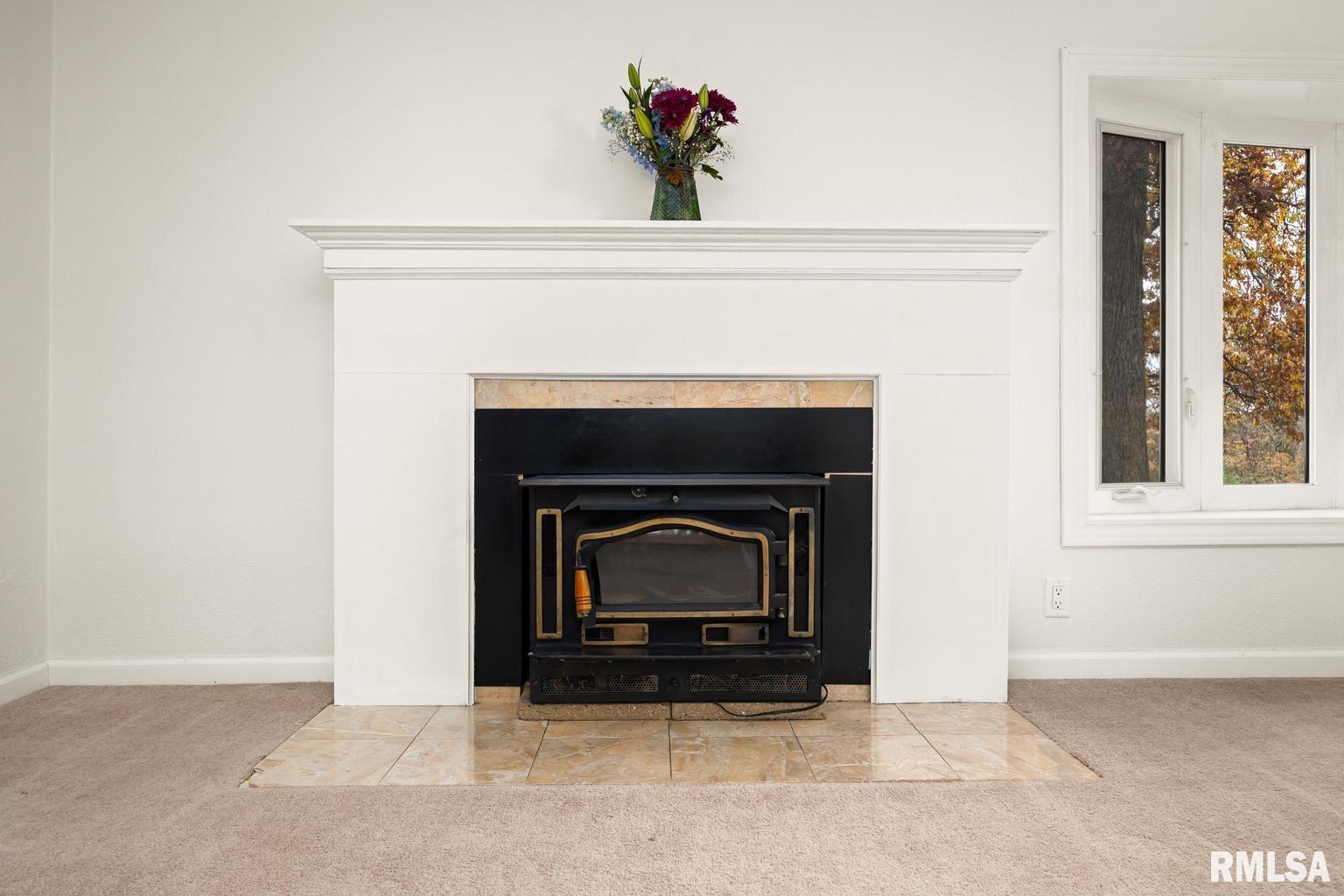 22165 Spring Creek Road Washington, IL 61571 - Photo 10 of 52 Gallery Image 10