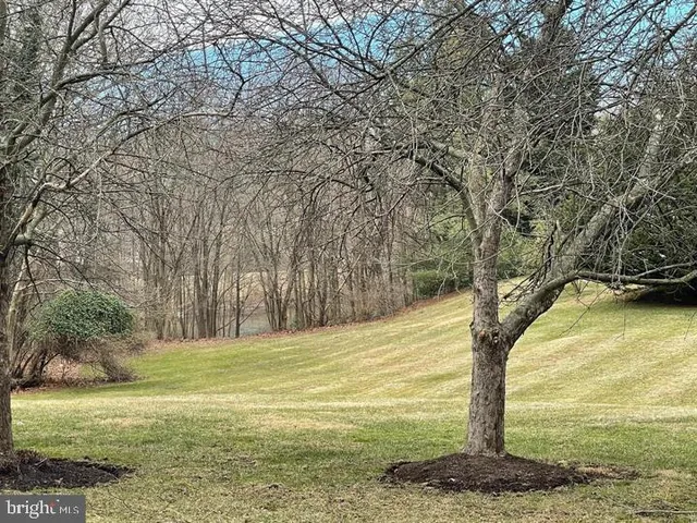 a view of a yard with an trees
