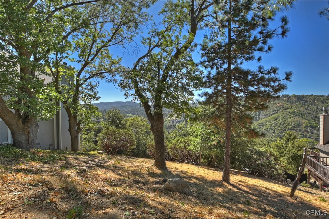0 Grass Valley Road Lake Arrowhead, CA 92352 - Photo 11 of 17