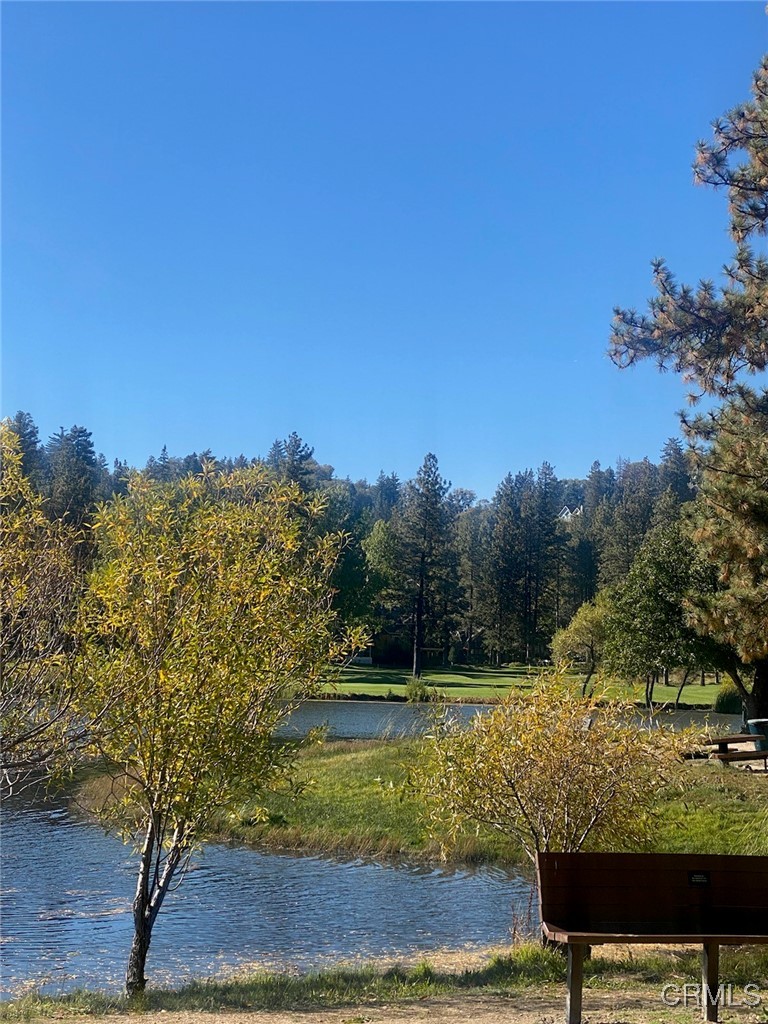 0 Grass Valley Road Lake Arrowhead, CA 92352 - Photo 15 of 17