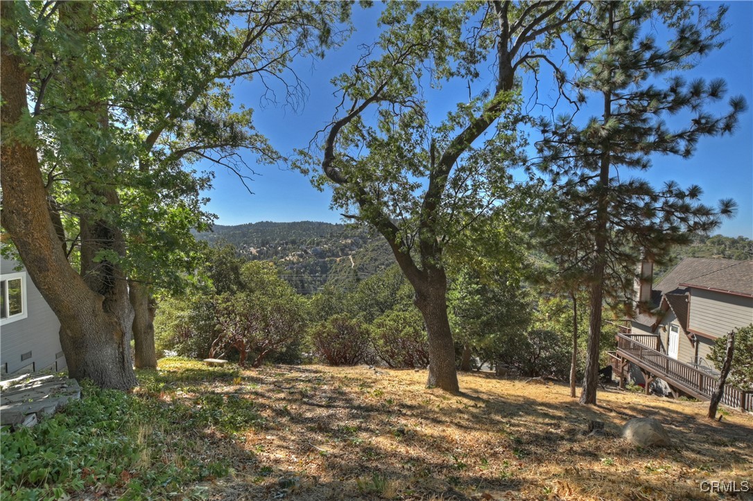 0 Grass Valley Road Lake Arrowhead, CA 92352 - Photo 7 of 17 View from Grass Valley Alley