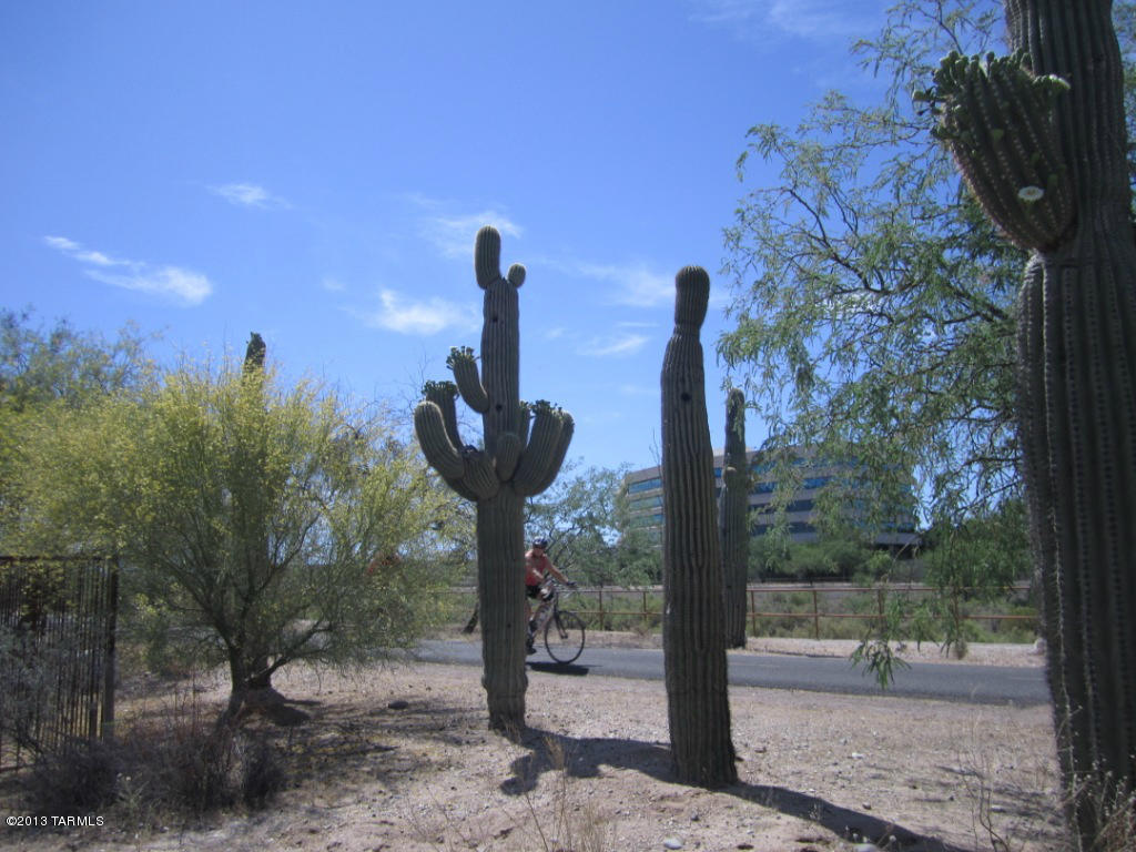 321 East Calderwood Road Tucson, AZ 85704 - Photo 21 of 31