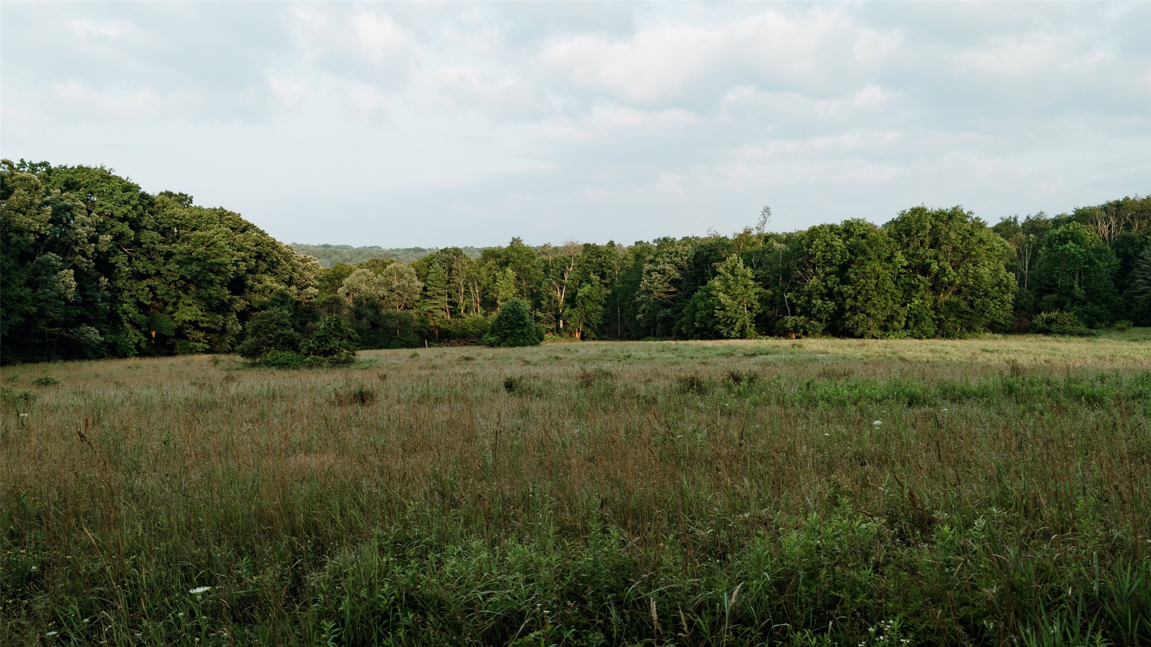 Mccaully Hill Road Tidioute, PA 16351 - Photo 1 of 26 Gallery Image 1