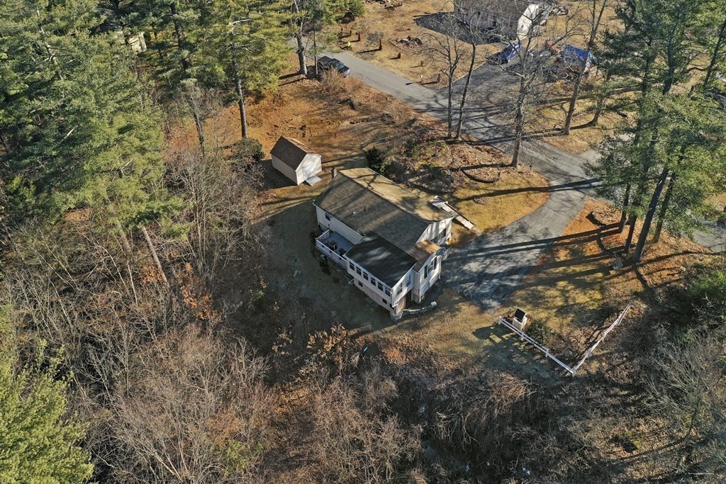 279 Little Alum Road Brimfield, MA 01010 - Photo 35 of 37 a view of a yard with plants and large trees