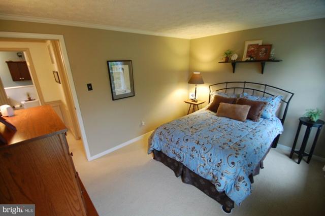 514 Little Egypt Road Elkton, MD 21921 - Photo 17 of 27 Second Bedroom