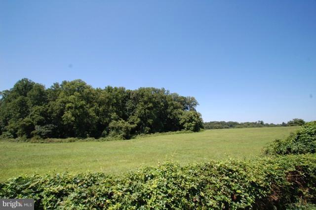 514 Little Egypt Road Elkton, MD 21921 - Photo 7 of 27 View From the Front