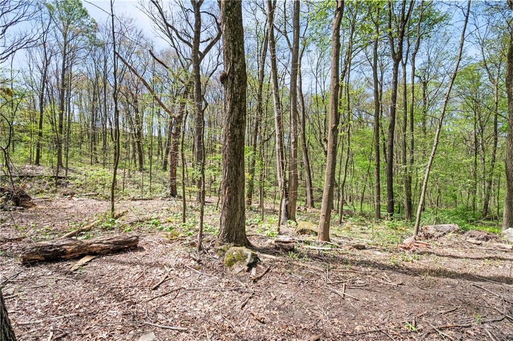 145 McClain Road Beaver Falls, PA 15010 - Photo 40 of 50