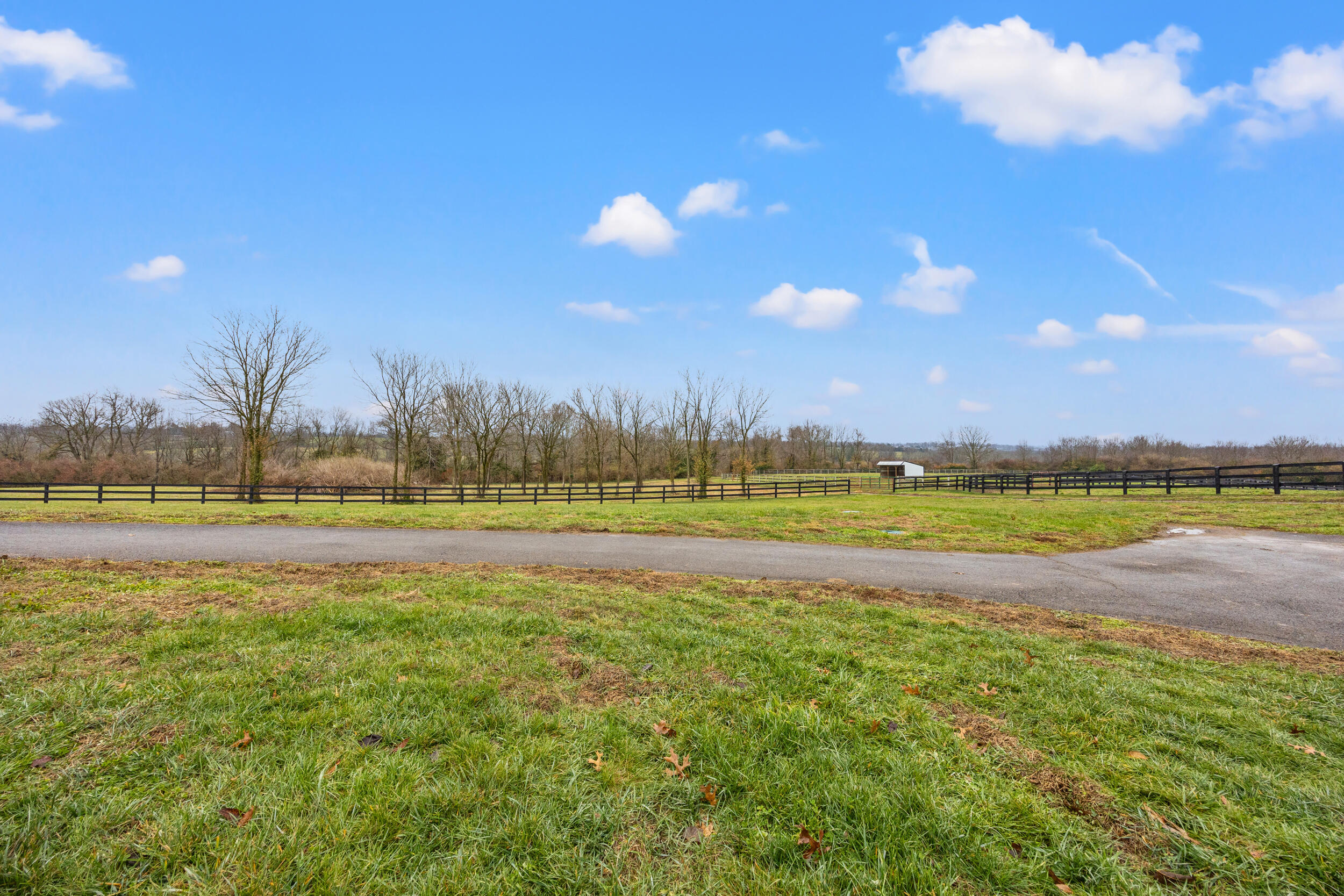 3360 Shannon Run Road Versailles, KY 40383 - Photo 45 of 59 39_img_4490