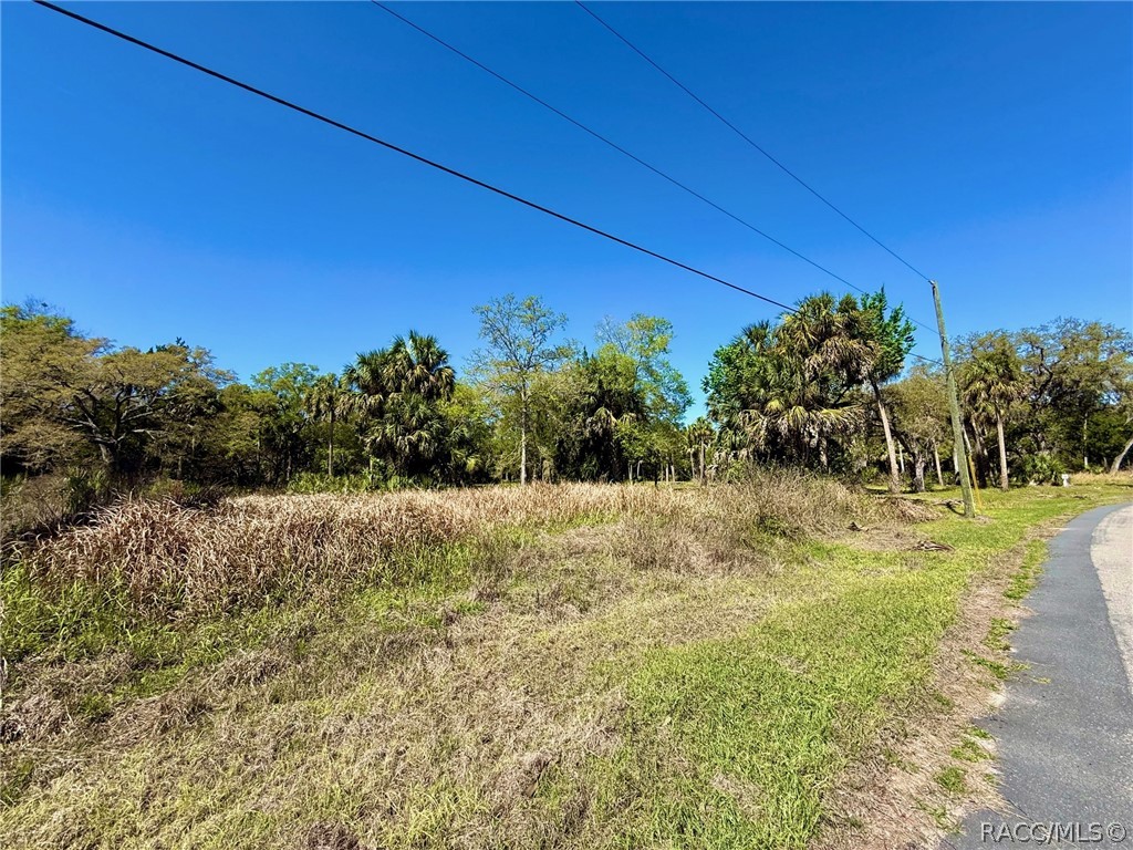 11120 North River Walk Point Inglis, FL 34449 - Photo 7 of 11