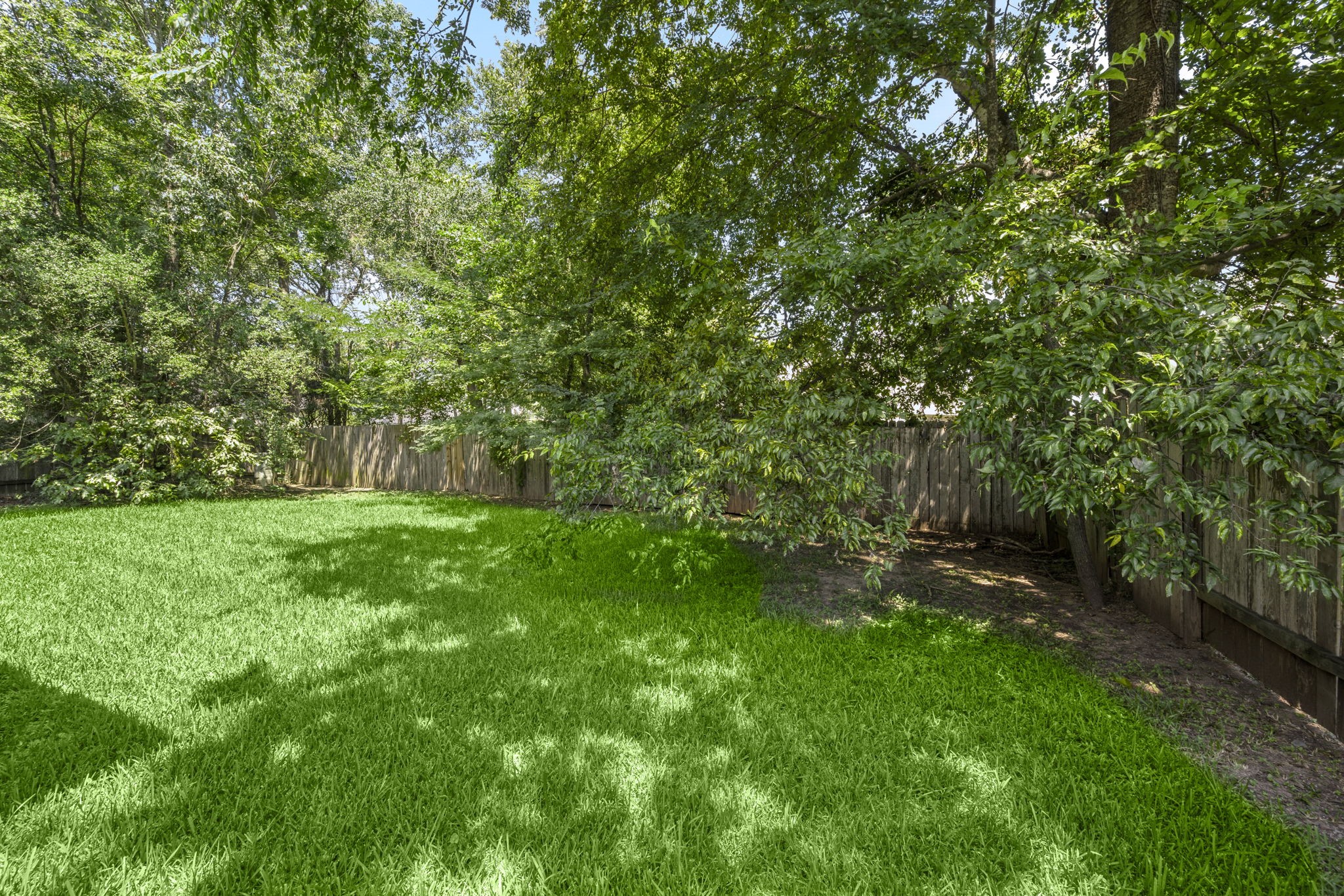 3226 Woodwind Road Montgomery, TX 77356 - Photo 27 of 34 a view of yard with green space