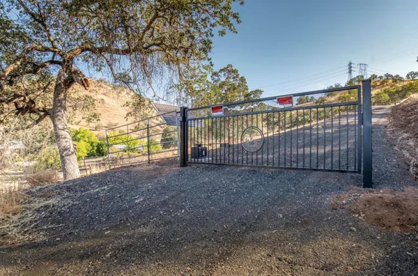 a view of backyard and tree