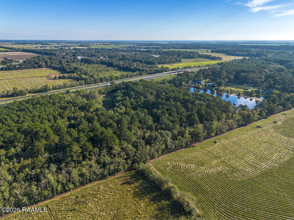 Tbd-2 Plant Road Egan, LA 70531 - Photo 6 of 8 untitled-0047-hdr-2