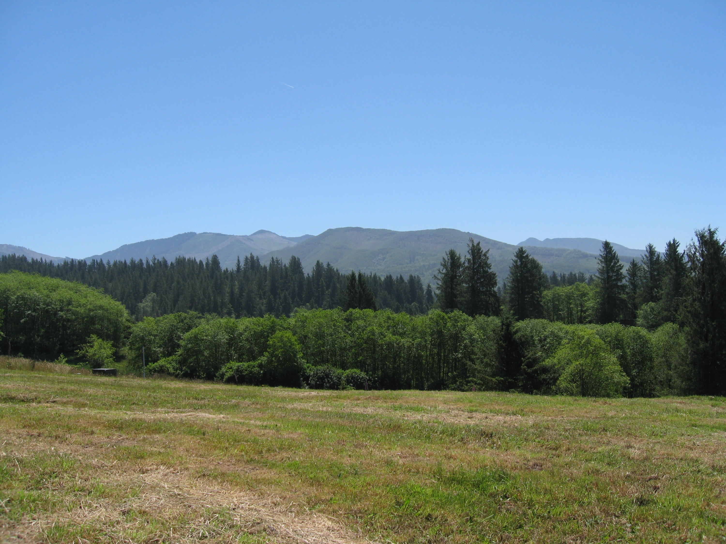 Lot Skyview Lot Skyview Road Tillamook, OR 97141 - Photo 12 of 20 009