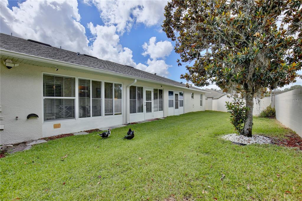 3415 Celena Circle St. Cloud, FL 34769 - Photo 19 of 20 a view of house with backyard and a tree