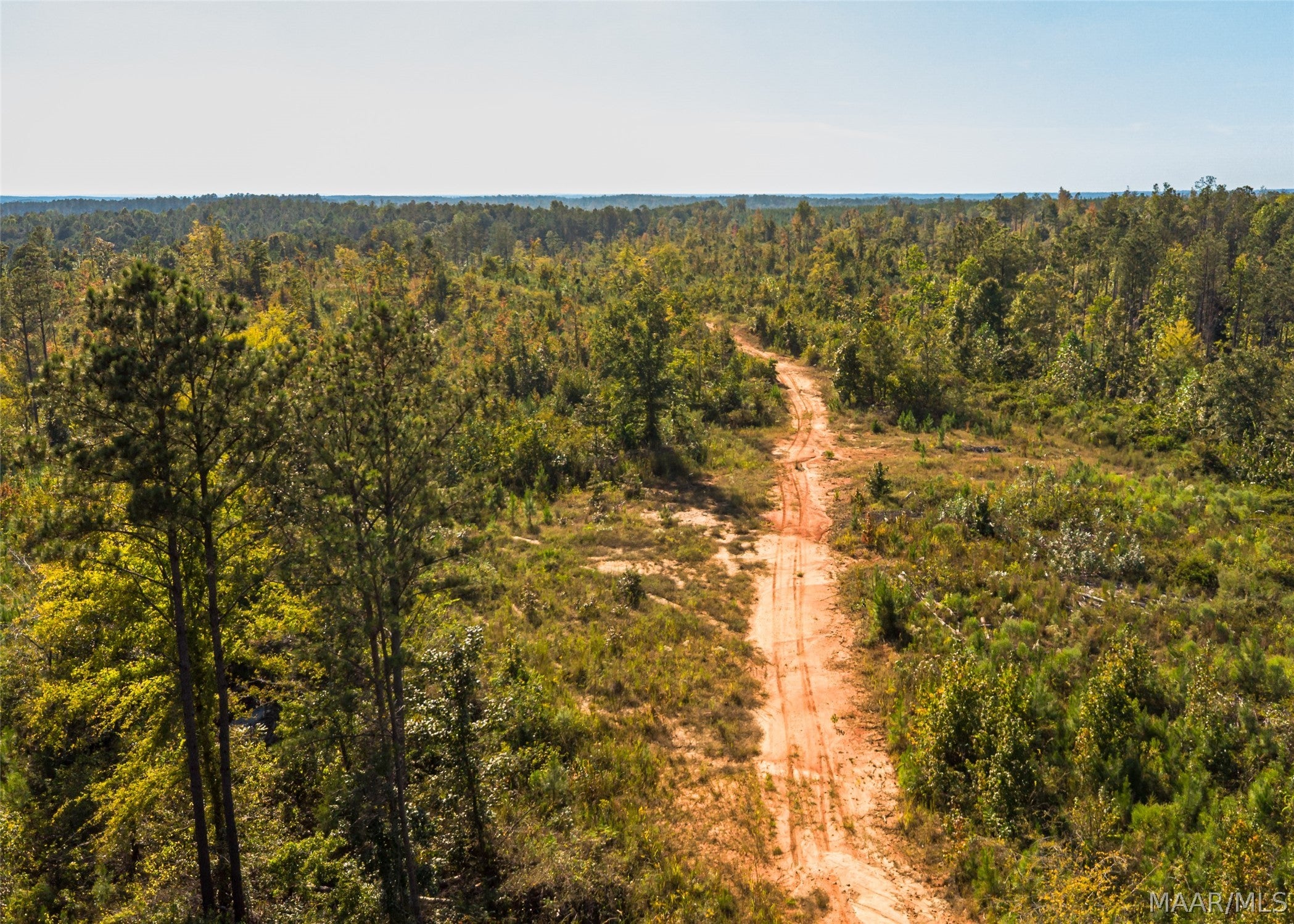 0 County Road 14 Road Equality, AL 36026 - Photo 11 of 11 Gallery Image 11