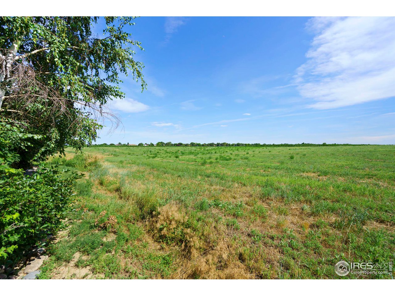 7702 Plateau Road Greeley, CO 80634 - Photo 36 of 40 View from the Back of the Home