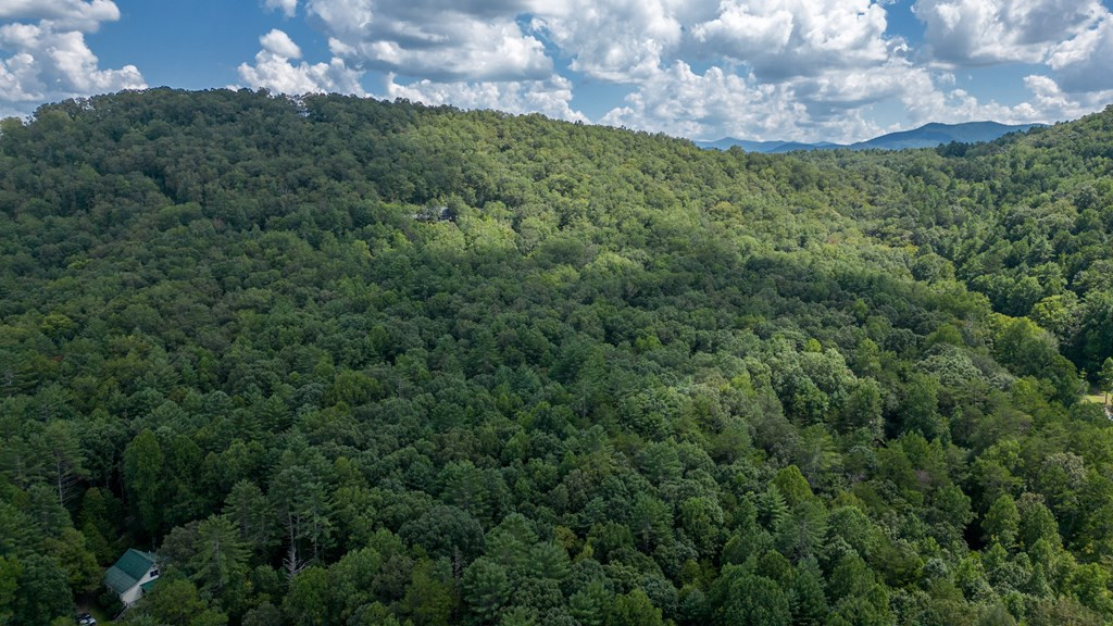 Tbd Waldroup Road Hayesville, NC 28904 - Photo 16 of 16 Gallery Image 16