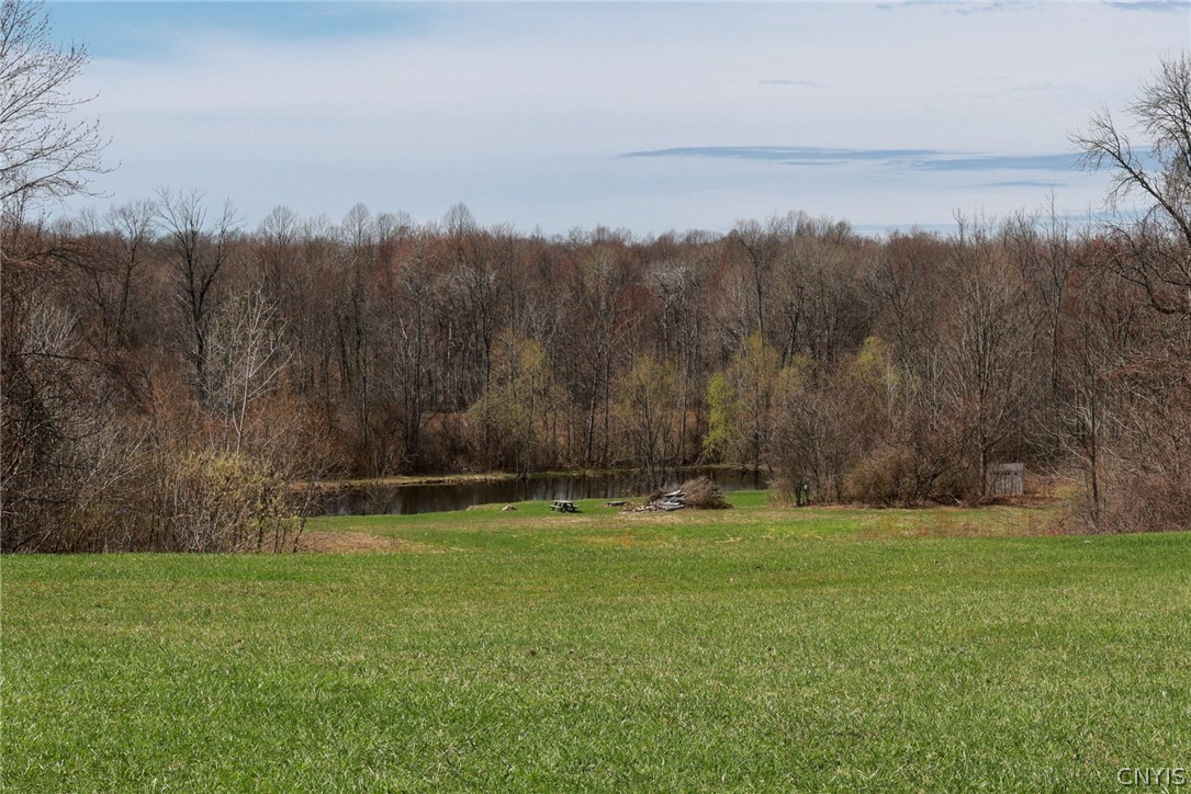441 Kingdom Road Volney, NY 13126 - Photo 46 of 49
