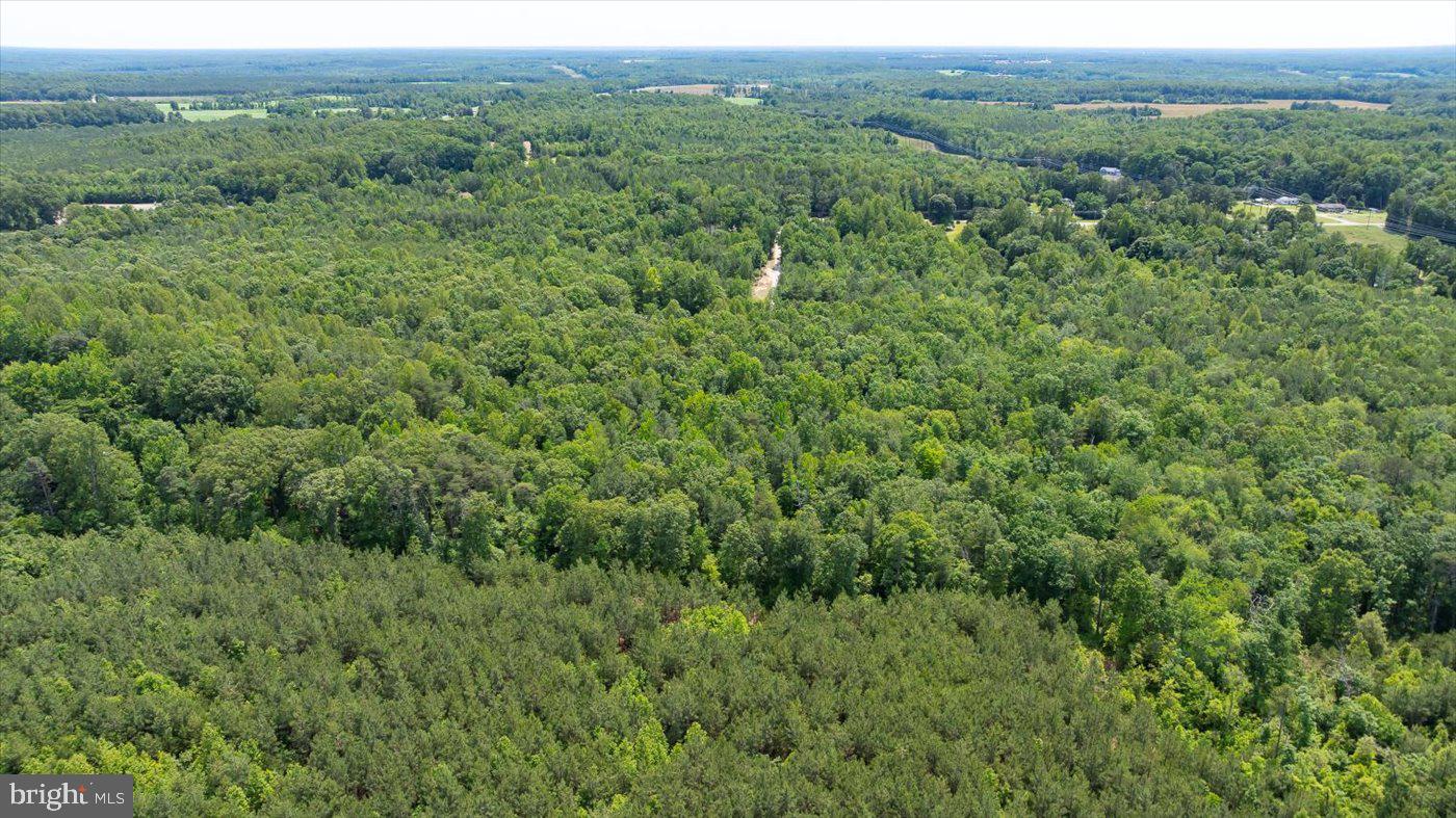 Lot 2 Golansville Road Ruther Glen, VA 22546 - Photo 2 of 7