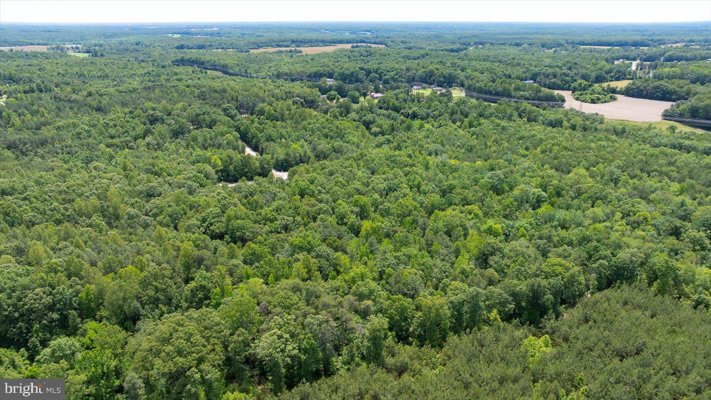 Lot 2 Golansville Road Ruther Glen, VA 22546 - Photo 3 of 7