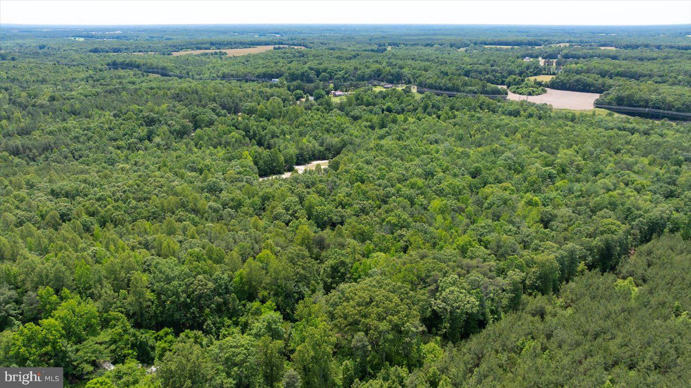 Lot 2 Golansville Road Ruther Glen, VA 22546 - Photo 4 of 7