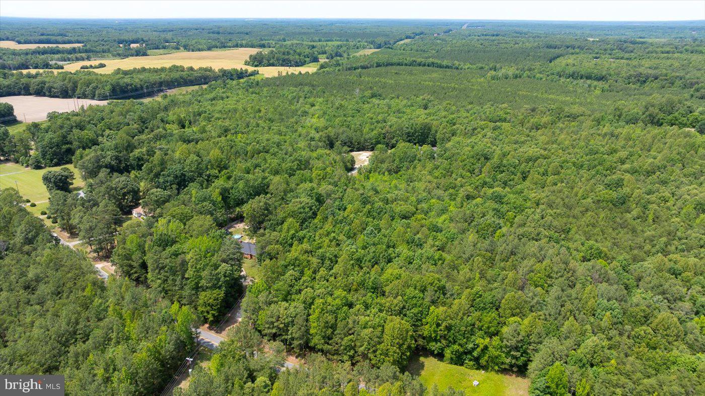 Lot 2 Golansville Road Ruther Glen, VA 22546 - Photo 6 of 7